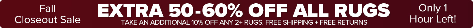 Banner that shows our current sale is an Extra 50-60% Off All Rugs