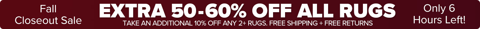 Banner that shows our current sale is an Extra 50-60% Off All Rugs