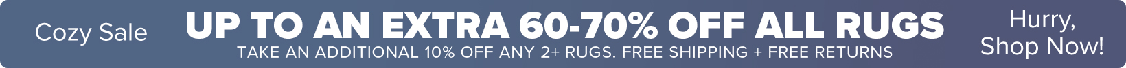 Banner that shows our current sale is an Extra 50-60% Off All Rugs