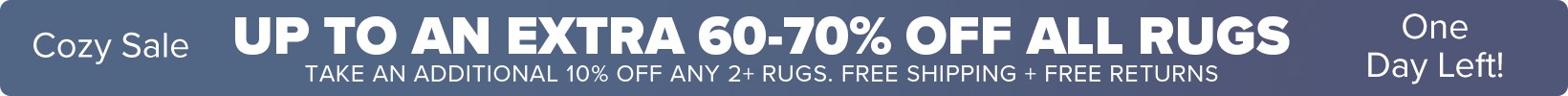 Banner that shows our current sale is an Extra 50-60% Off All Rugs