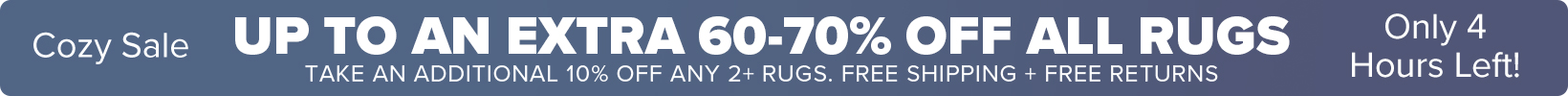 Banner that shows our current sale is an Extra 50-60% Off All Rugs