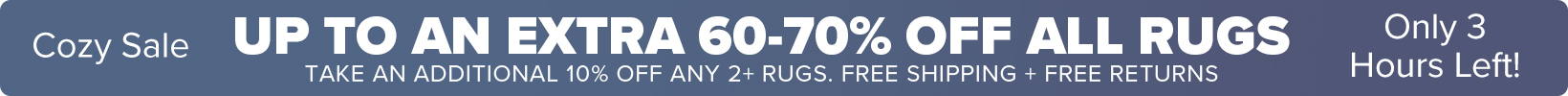 Banner that shows our current sale is an Extra 50-60% Off All Rugs