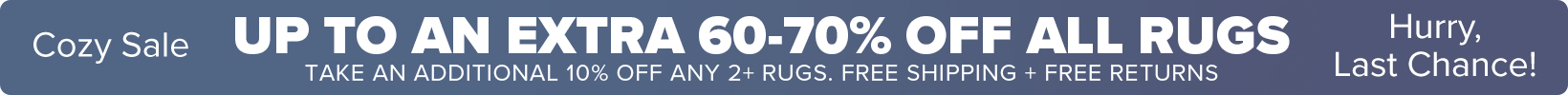 Banner that shows our current sale is an Extra 50-60% Off All Rugs