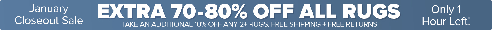 Banner that shows our current sale is an Extra 50-60% Off All Rugs